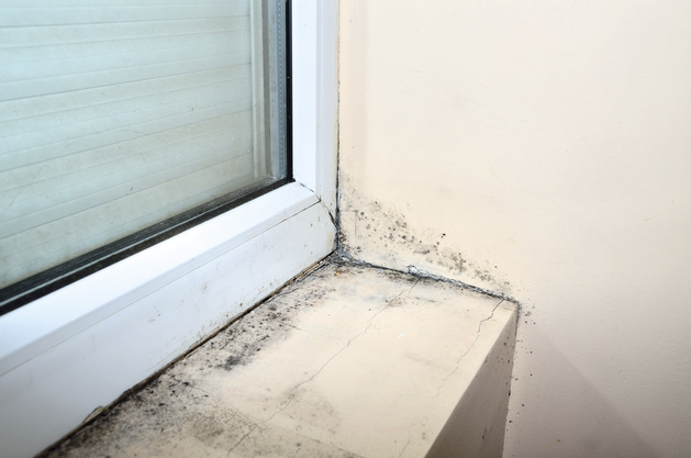 HET Likvisan biocidní přípravek proti plísním a řasám -ukázka 2