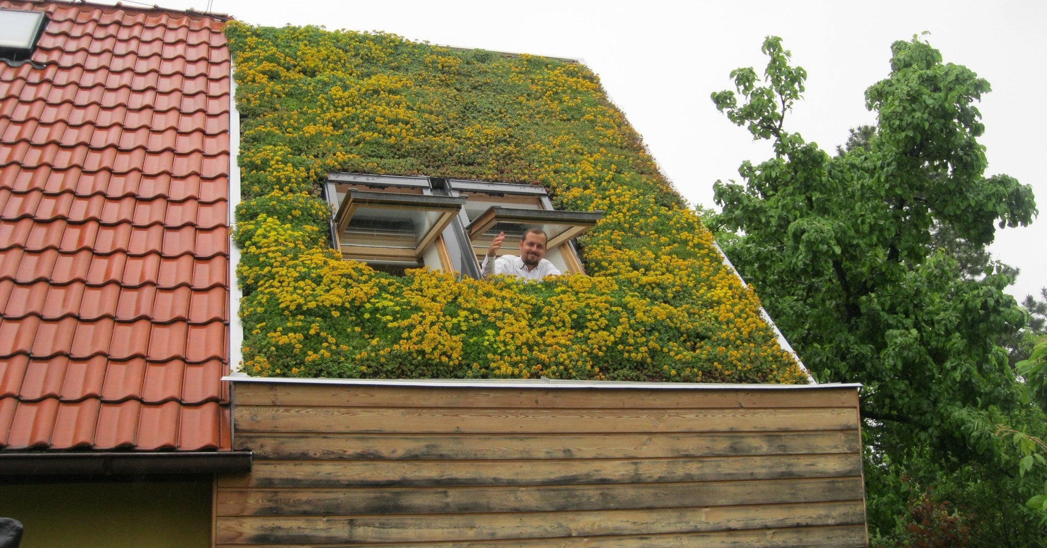 Isover FLORA λ 0,037 izolační desky hydrofilní izolace - finální verze