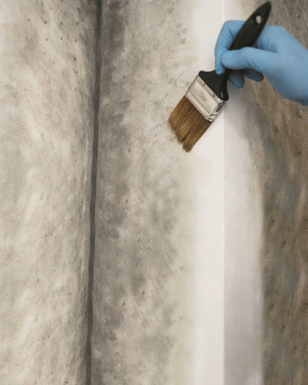 MAPEI Silancolor Cleaner Plus profesionální čistič fasád a stěn aplikace