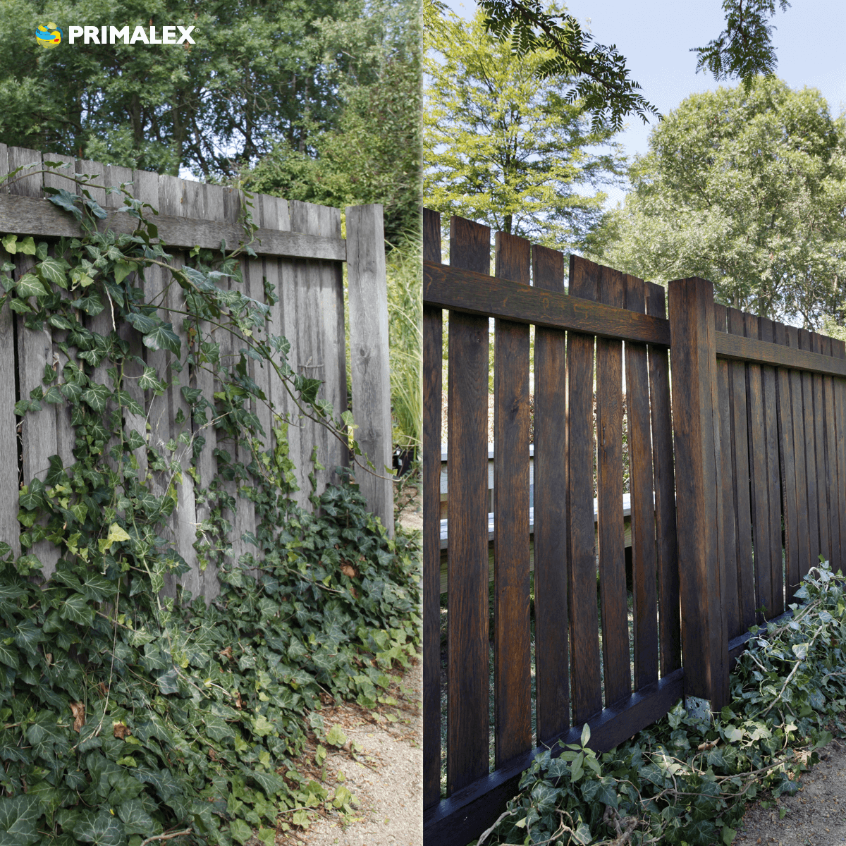 PRIMALEX LAZURA tenkovrstvá na dřevo_aplikace před a po