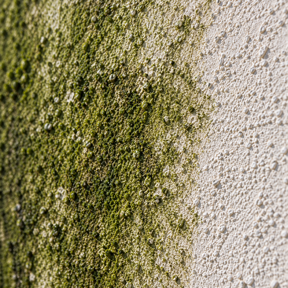 Detail řas na fasádě přecházejících do čistého povrchu
