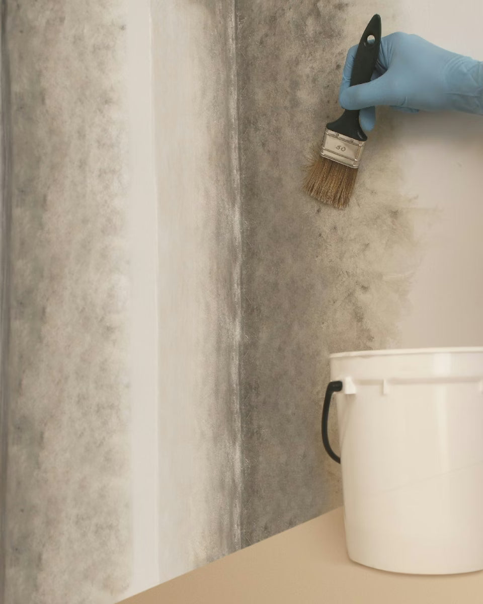 Mapei Silancolor Primer Plus základní penetrační nátěr proti plísním a řasám 2 kg